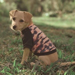 Saco Ondas Retro de sudadera para perro